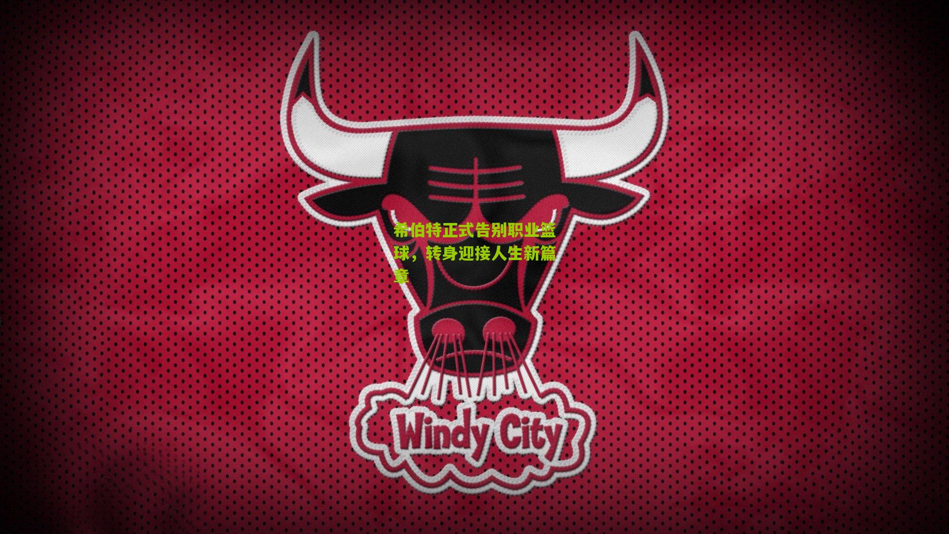 希伯特正式告别职业篮球,转身迎接人生新篇章