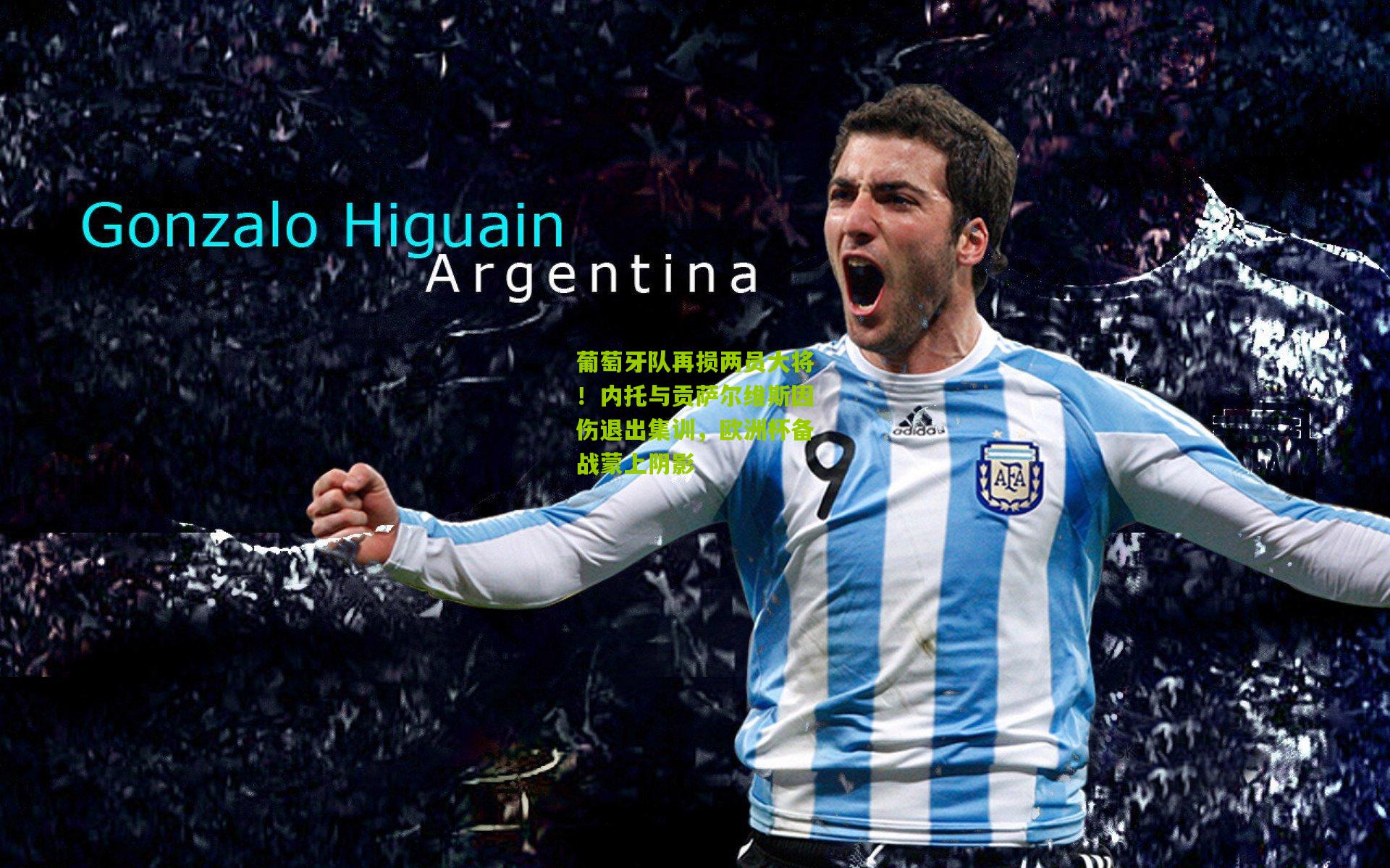 葡萄牙队再损两员大将！内托与贡萨尔维斯因伤退出集训，欧洲杯备战蒙上阴影